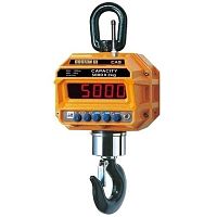 Крановые весы CAS Caston-III 2 THD