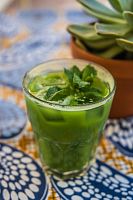 Сироп для кофе и коктейлей Herbarista Мята с Эвкалиптом 700 мл