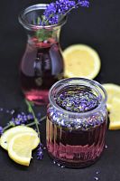 Сироп для кофе и коктейлей Herbarista Lavender (Лаванда) 700 мл