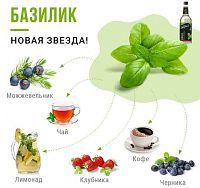 Сироп для кофе и коктейлей Davinci Gourmet Базилик 1 л