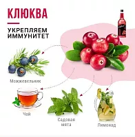 Сироп для кофе и коктейлей Davinci Gourmet Клюква 1 л