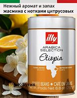 Кофе в зернах Illy Ethiopia 250 гр