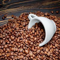 Кофе в зернах Astros India Monsooned Malabar 100% арабика 1 кг