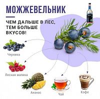 Сироп для кофе и коктейлей Davinci Gourmet Можжевельник 1 л